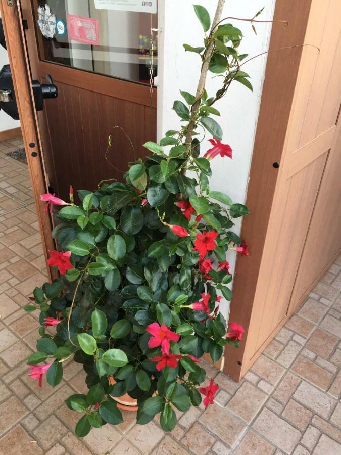 U' Fore B&B Relax Garden Noci Exterior foto